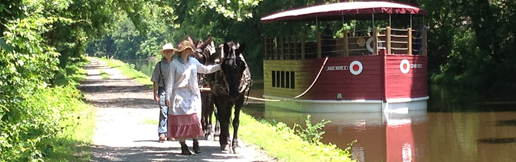 a boat trip on the canal